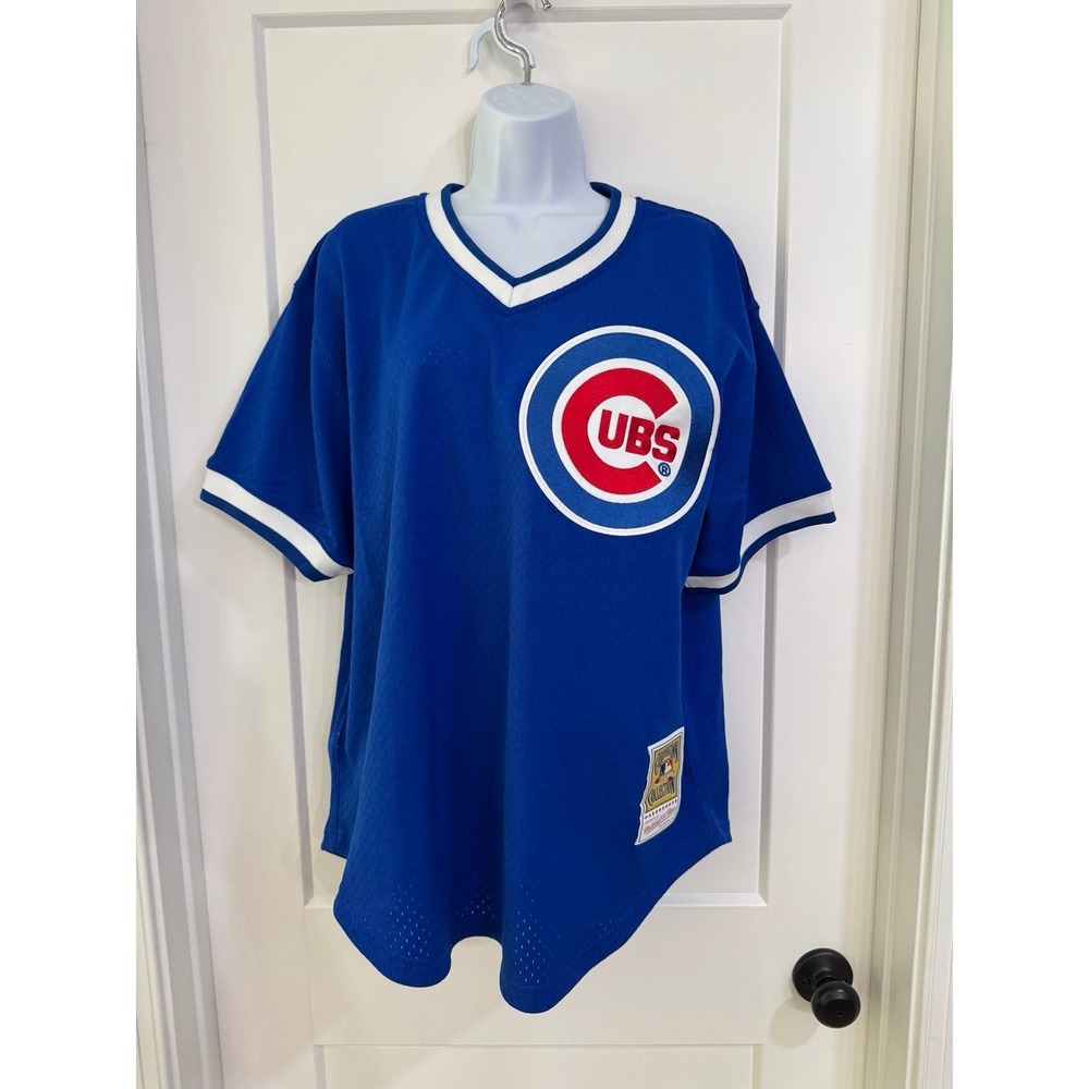 Men's Andre Dawson Chicago Cubs‎ Royal 1987 Mesh Batting Practice Jersey large